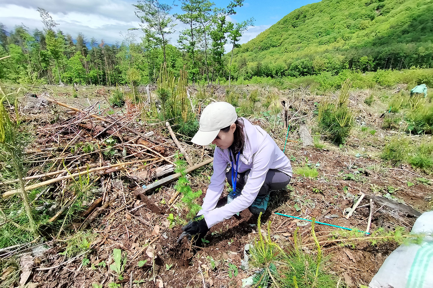 サステナブルな社会の実現に向けた活動 画像