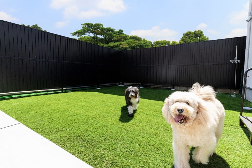 愛犬が伸び伸びと走り回れるドッグラン